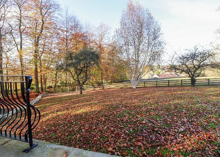 Sandy Gate נארסבורו