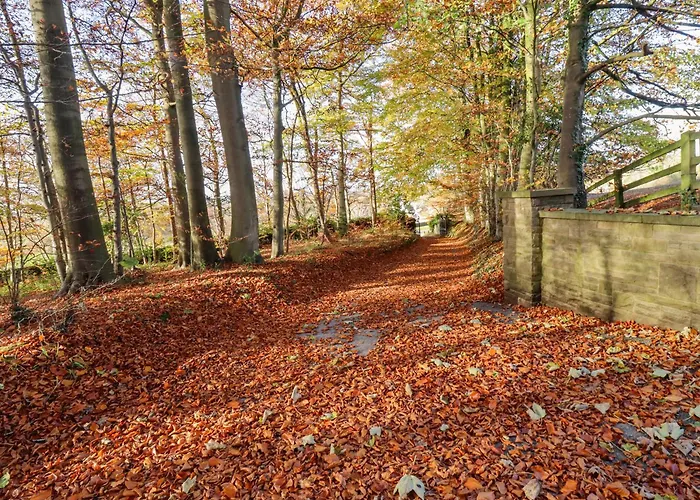 Sandy Gate Knaresborough